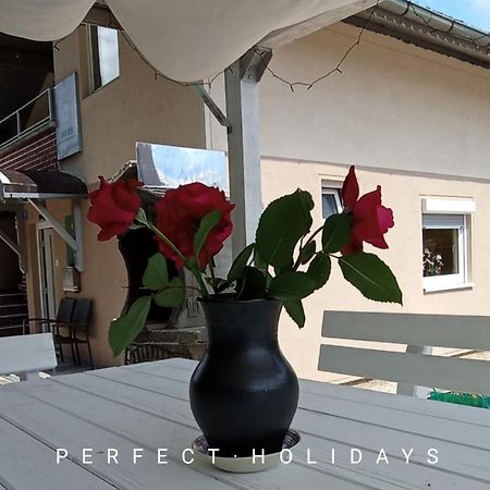 Apartmani Unski Biser ツァジン エクステリア 写真
