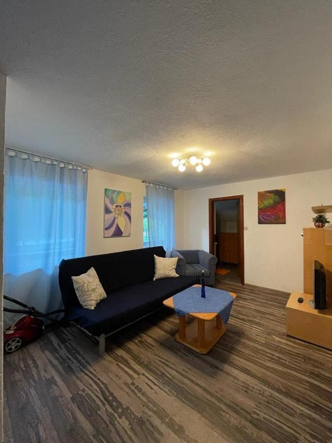 Apartmani Unski Biser ツァジン エクステリア 写真