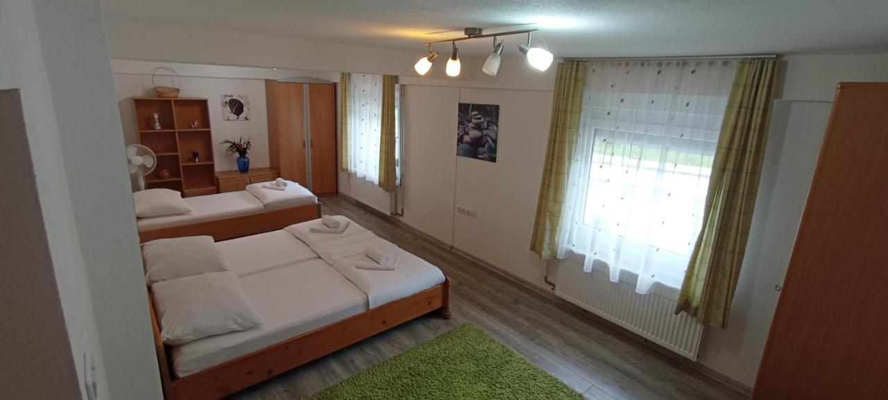 Apartmani Unski Biser ツァジン エクステリア 写真