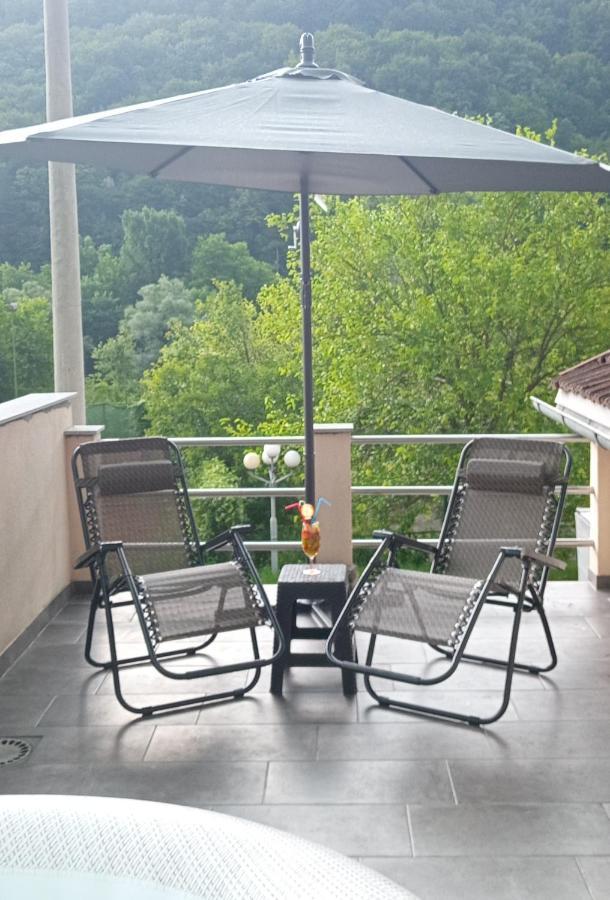 Apartmani Unski Biser ツァジン エクステリア 写真